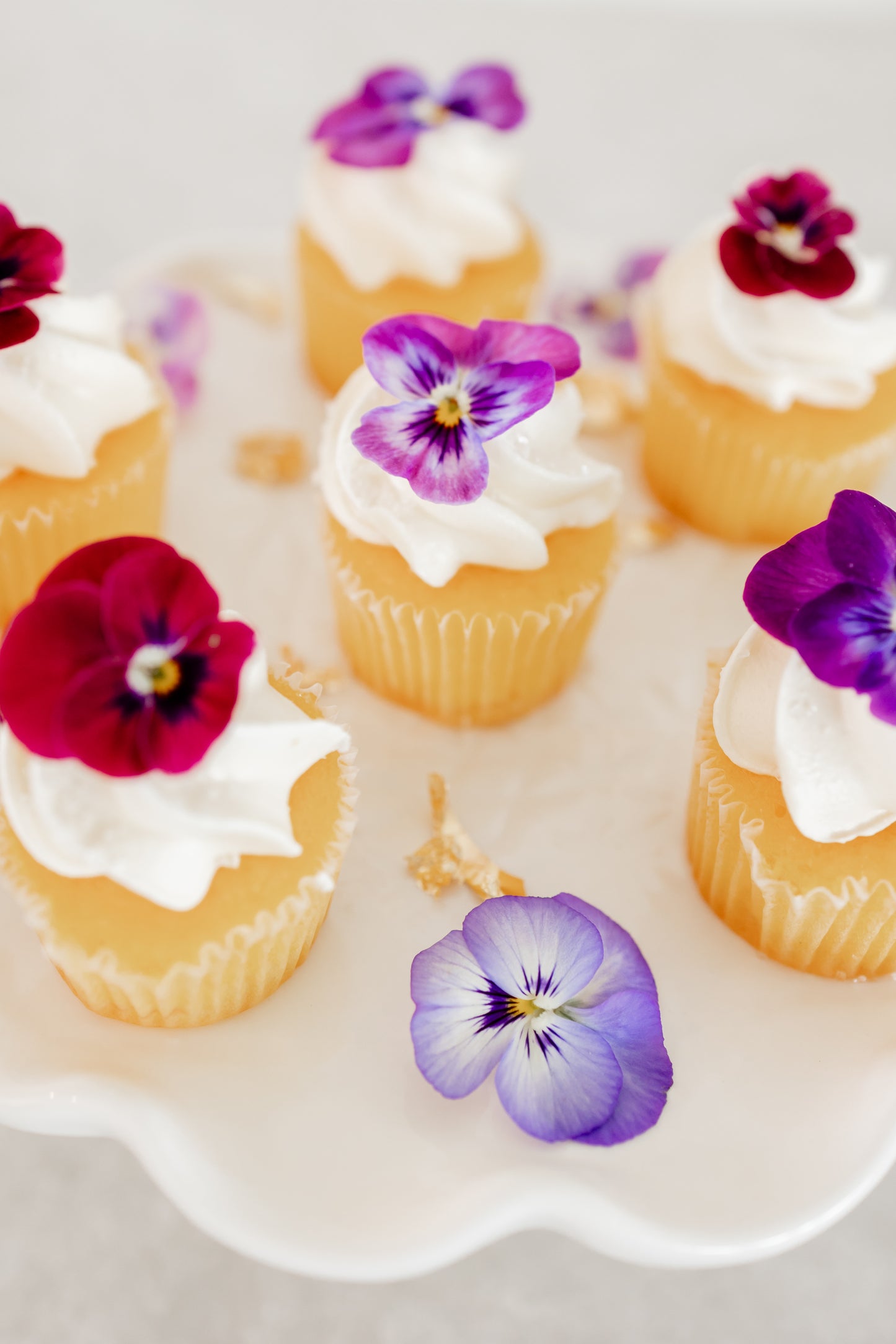 Violas & Pansies - Edible Flowers