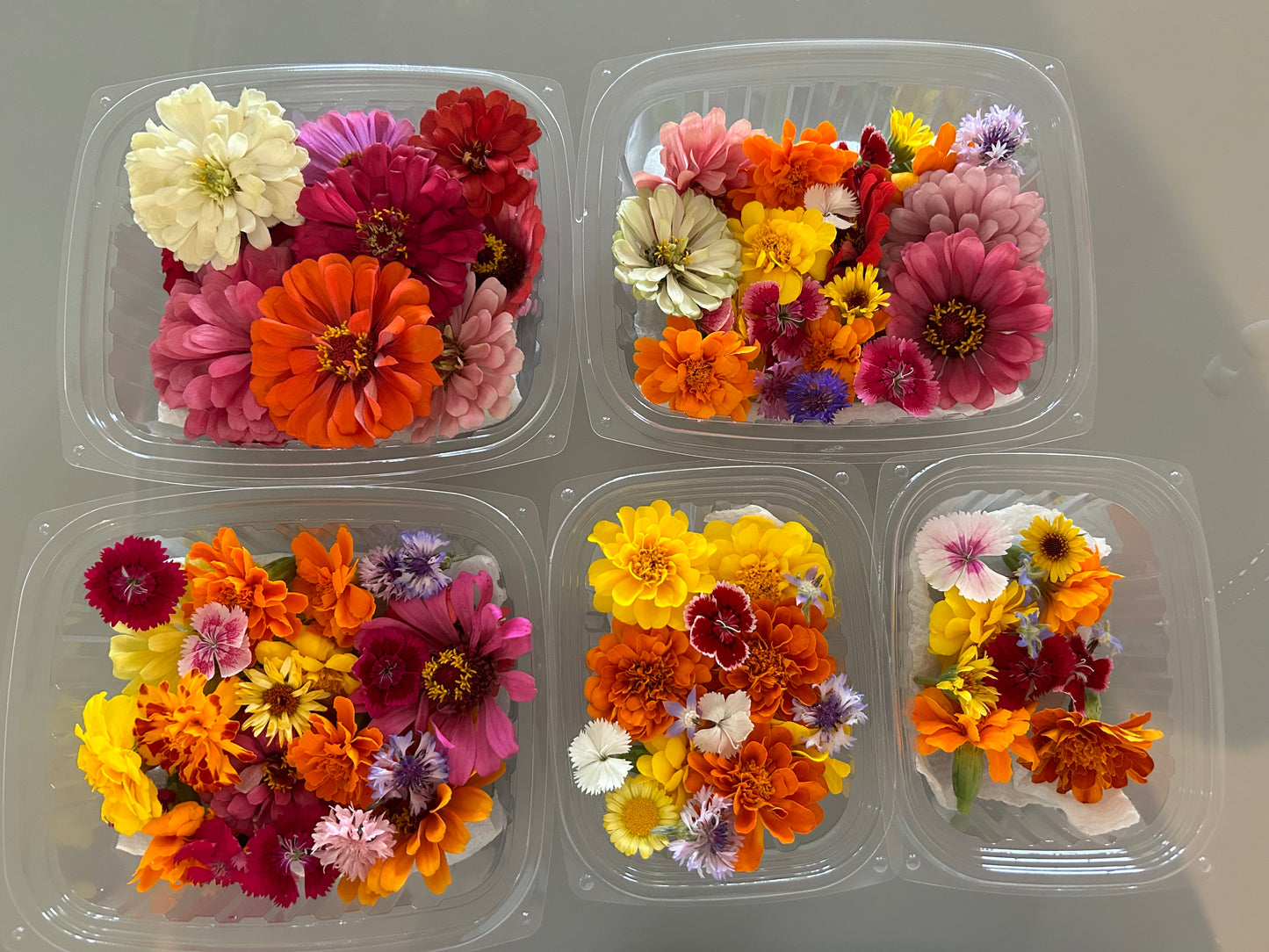 Edible Flowers - Mixed Pack