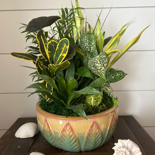 Dish Garden