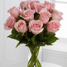 Dozen Pink Roses